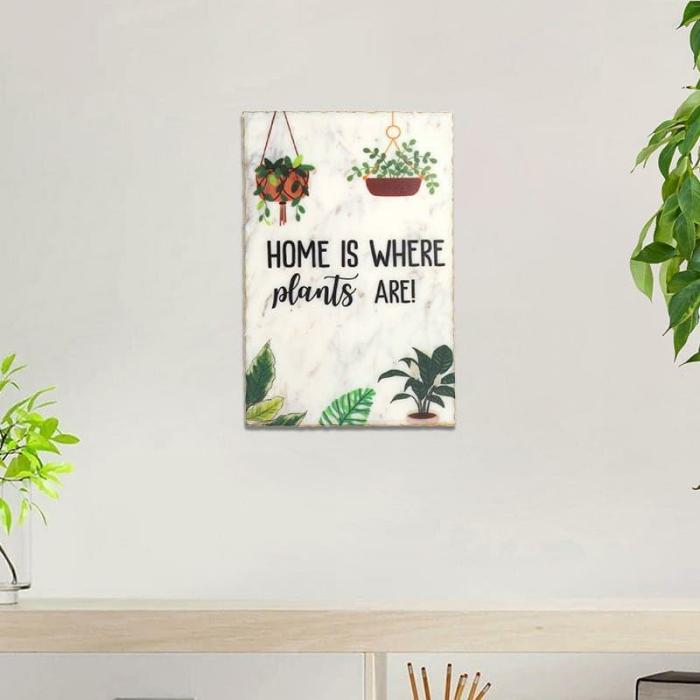 Home Is Where Plants Are Wall Accent  |   Wall Accents Wall Accents Multicolor