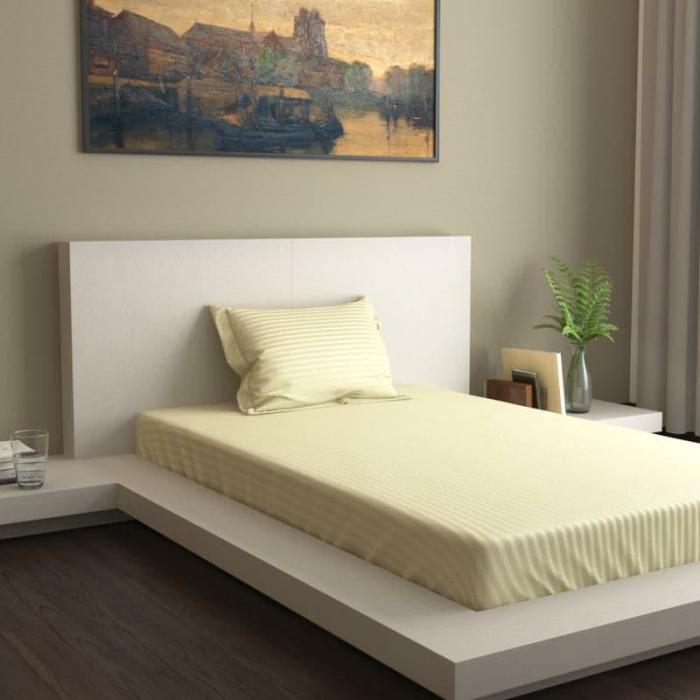 Lush Lavish Solid Bedsheet  |   Solid Bedsheets Bedsheets Ivory