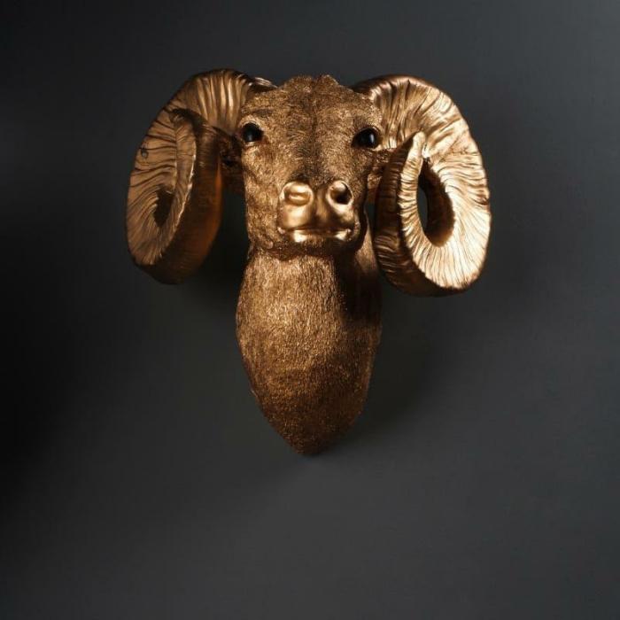 Ramzie Ram Head Wall Mounted Showpiece  |   Wall Accents Wall Accents Bronze